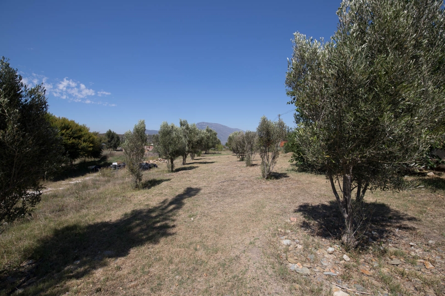 0 Bedroom Property for Sale in Barrydale Western Cape